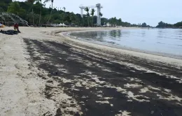 Singapore đóng cửa các bãi biển do sự cố tràn dầu