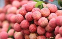 Vải thiều Việt Nam bán tại Thái Lan giá 250.000 đồng/kg