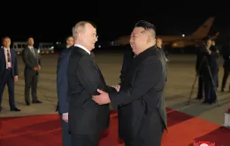 Những hoạt động trong chuyến thăm chính thức Triều Tiên của Tổng thống Nga Putin