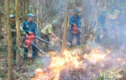 Nắng nóng kéo dài, nguy cơ cháy rừng tại Thanh Hóa