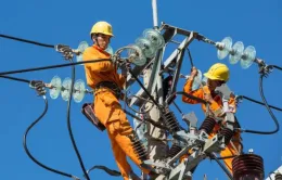 Thủ tướng yêu cầu đề xuất cụ thể lộ trình thực hiện điều chỉnh giá điện