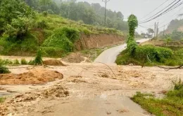 Mưa lớn kéo dài gây nhiều thiệt hại về tài sản và hoa màu ở Yên Bái