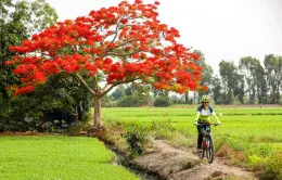 Trải nghiệm ngày hè ở nông thôn