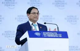 Làm sâu sắc hơn quan hệ Việt Nam - WEF, Trung Quốc