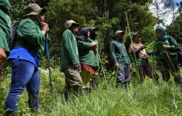 Những “nữ chiến binh” giữ rừng ở Indonesia