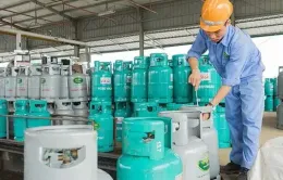 Giá gas trong nước “đứng im”