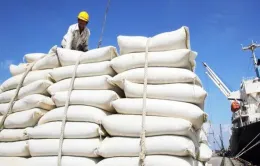 Xuất khẩu gạo sẽ ổn định trở lại