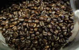Cà phê, trứng và gạo trắng có liên quan đến mức PFAS cao hơn trong cơ thể người
