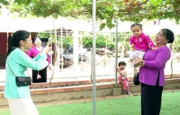Đồng Tháp đẩy mạnh phát triển du lịch cộng đồng