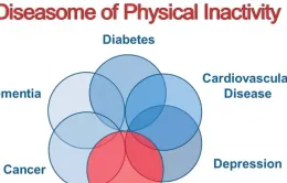Gần 1,8 tỷ người trưởng thành có nguy cơ mắc bệnh do không hoạt động thể chất đầy đủ