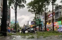 Cảnh báo dông, mưa lớn khu vực Nam Bộ