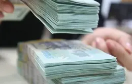 Ngành thuế TP Hồ Chí Minh hoàn gần 4.700 tỷ đồng thuế VAT
