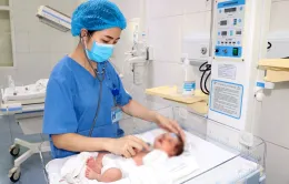 Cứu sống trẻ sơ sinh bị bỏ rơi ở bụi cỏ ven đường