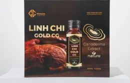 Linh Chi Gold CG - Món quà quý cho sức khỏe