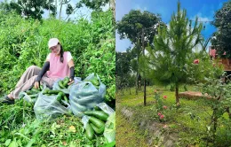 Trải nghiệm làm vườn, "sống chậm" cùng thiên nhiên ở các nông trại xanh