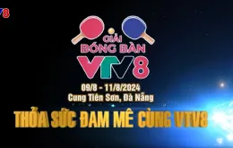 Giải bóng bàn tranh Cup VTV8 đã trở lại