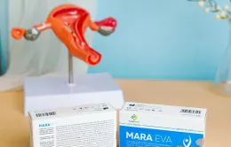 Mara Eva - Giải pháp hỗ trợ điều trị và phòng ngừa viêm âm đạo