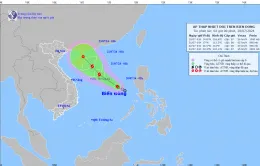 Áp thấp nhiệt đới mạnh cấp 6-7, giật cấp 9