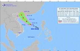 Áp thấp nhiệt đới cách quần đảo Hoàng Sa 180 km