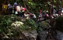 Panama bắt đầu trục xuất người di cư băng qua rừng rậm "tử thần" Darien Gap