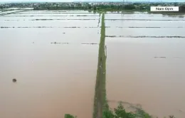 Hàng chục nghìn ha lúa mùa ngập sâu do mưa lớn