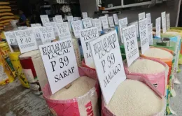Giá gạo tăng cao gây lo ngại tại Philippines