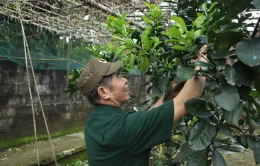 Những thương binh xướng "bài ca vỡ đất" dưới chân đèo Tằng Quái