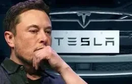 Elon Musk: Tesla có nên đầu tư 5 tỷ USD vào xAI?