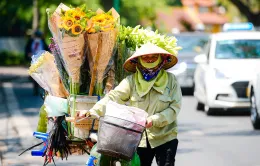 Bắc Bộ ngày nắng nóng, chiều tối mưa dông