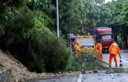 Hàng chục nghìn người ở Đông Bắc Trung Quốc phải sơ tán vì bão Gaemi