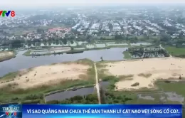 Vì sao Quảng Nam chưa thể bán thanh lý cát nạo vét sông Cổ Cò?