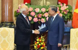 Chủ tịch nước Tô Lâm tiếp Phó Chủ tịch Ủy ban châu Âu Josep Borrell Fontelles