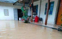Yên Bái: Mưa rất lớn gây ngập úng, sạt lở đất