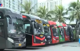 Nhiều doanh nghiệp kinh doanh vận tải chưa thành lập bộ phận an toàn giao thông