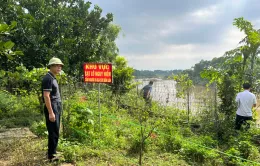 Thái Nguyên: Công bố tình huống khẩn cấp về sạt lở bờ sông Cầu do mưa lũ