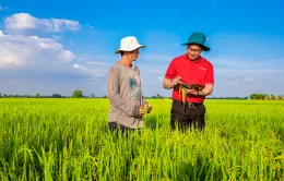 Agribank cung ứng vốn tín dụng phát triển 1 triệu héc-ta lúa chất lượng cao