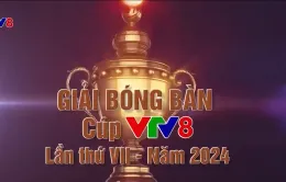 Sức hút của Giải Bóng bàn truyền thống tranh cúp VTV8