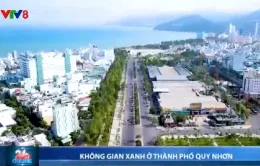 Không gian xanh ở thành phố Quy Nhơn