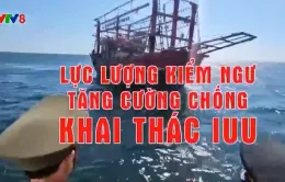 Lực lượng Kiểm ngư tăng cường chống khai thác IUU.