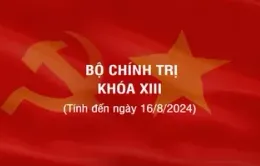 [Infographic] Các đồng chí Ủy viên Bộ Chính trị khóa XIII