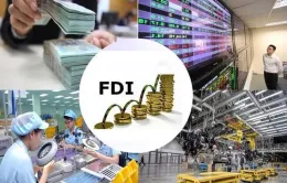 Cần nâng cấp hệ sinh thái để "hút" FDI chất lượng