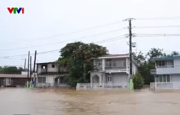 250.000 người dân Puerto Rico thiếu điện, nước do bão Ernesto