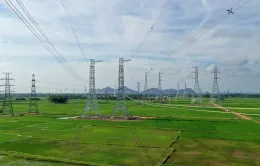 Đóng điện Dự án đường dây 500kV mạch 3 cung đoạn Quỳnh Lưu - Thanh Hóa