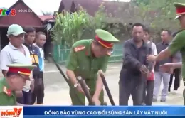 Mô hình "Đổi súng săn lấy heo đen"