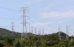 Đẩy nhanh tiến độ dự án Đường dây 500kV mạch 3