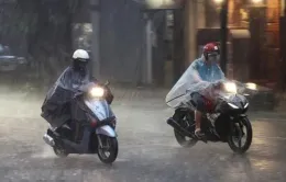 Vùng núi và trung du Bắc Bộ mưa lớn, có nơi trên 230 mm