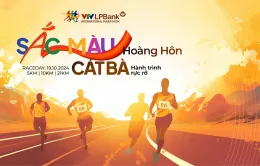 Giải Marathon Quốc tế VTV LPBank - Sắc Màu Hoàng Hôn Cát Bà 2024