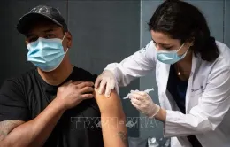 FDA Mỹ phê duyệt vaccine phòng COVID-19 cập nhật chống các biến thể đang lưu hành