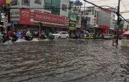 Cà Mau: Ngập úng sau trận mưa lớn