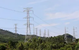 Đóng điện Đường dây 500kV mạch 3